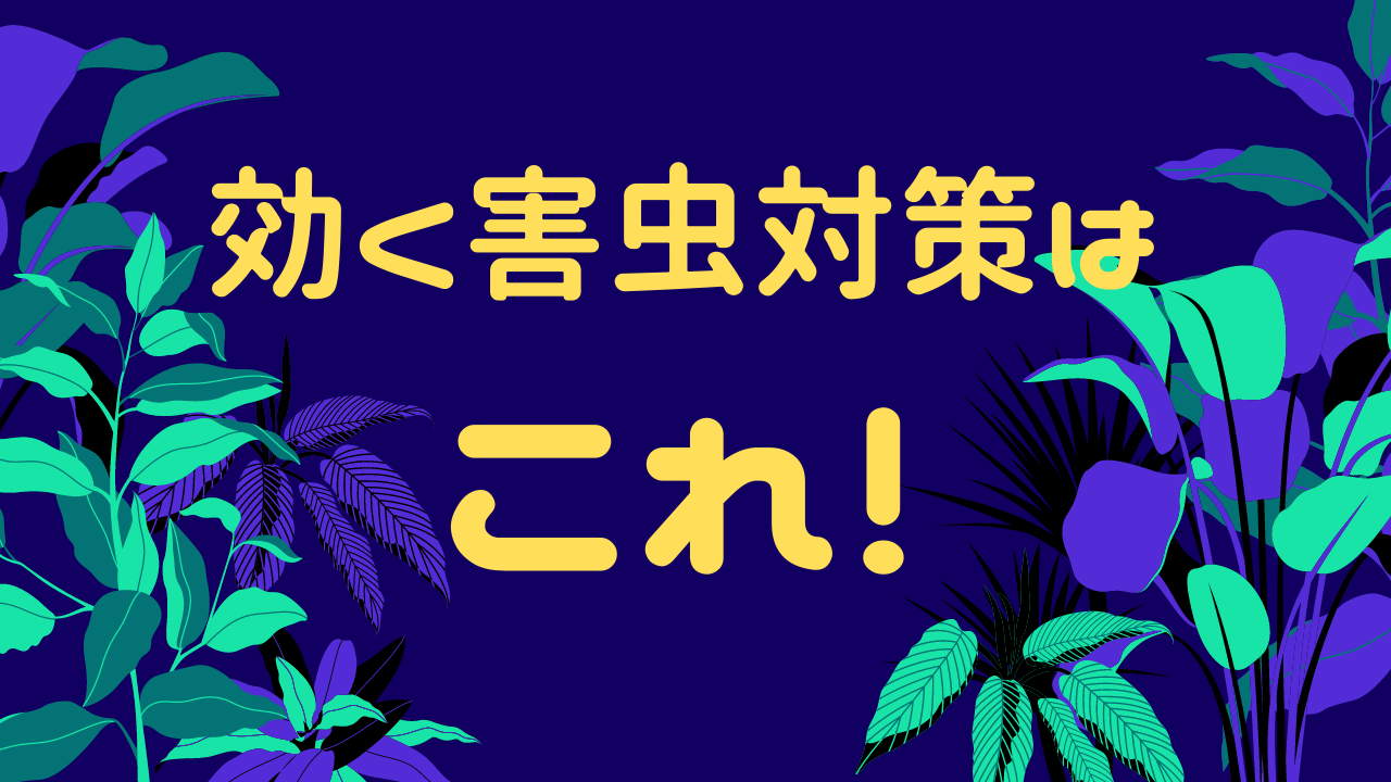 効果的な害虫対策はこれ 季節ごとの対策と入居後すぐやることを虫嫌い向けにまとめました 賃貸知識bank