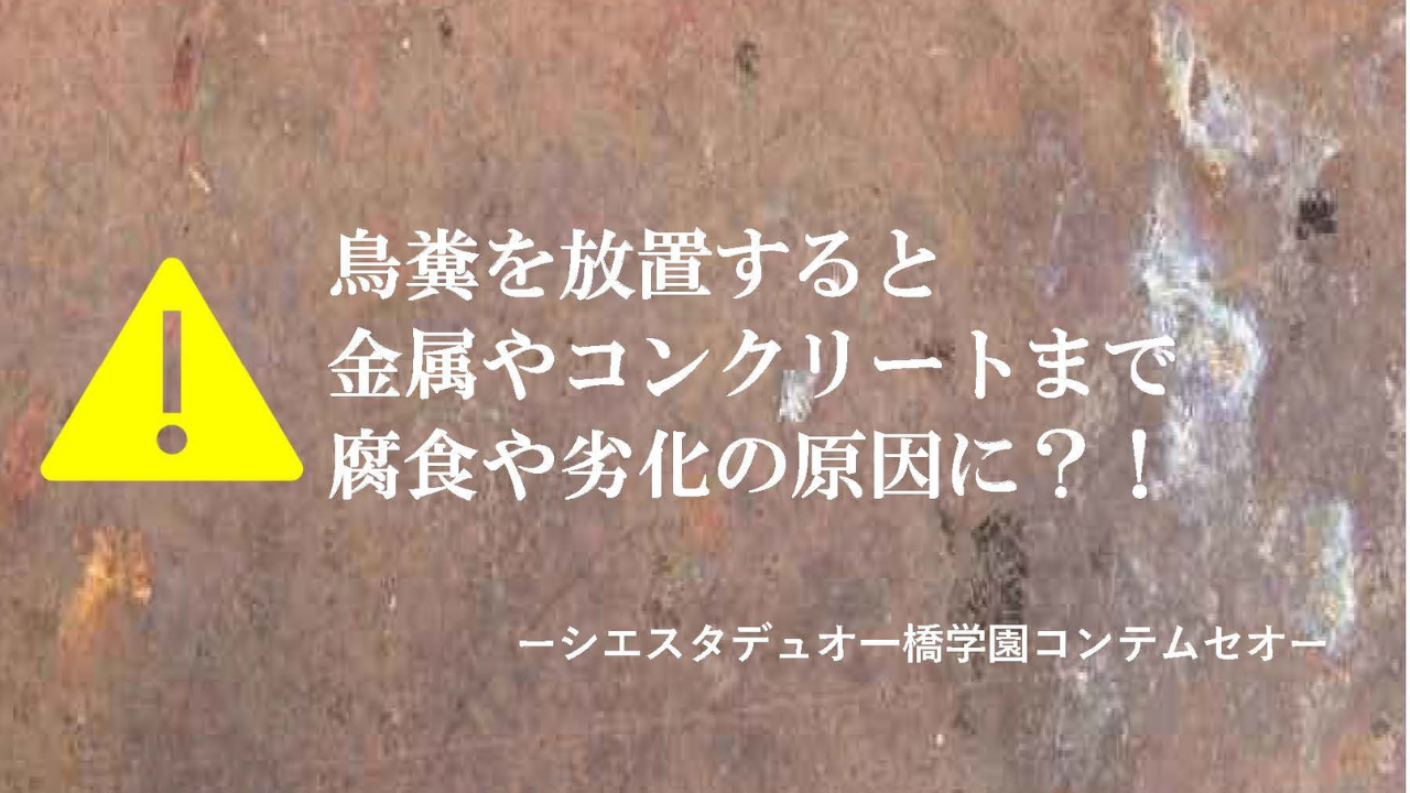 鳥糞を放置すると金属やコンクリートまで腐食や劣化の原因に ーシエスタデュオ一橋学園コンテムセオー 賃貸知識bank
